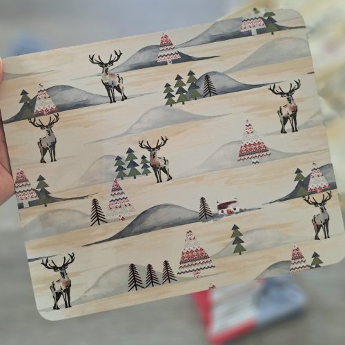 Highland Loch Red Placemats